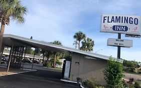 Flamingo Inn Sarasota Fl